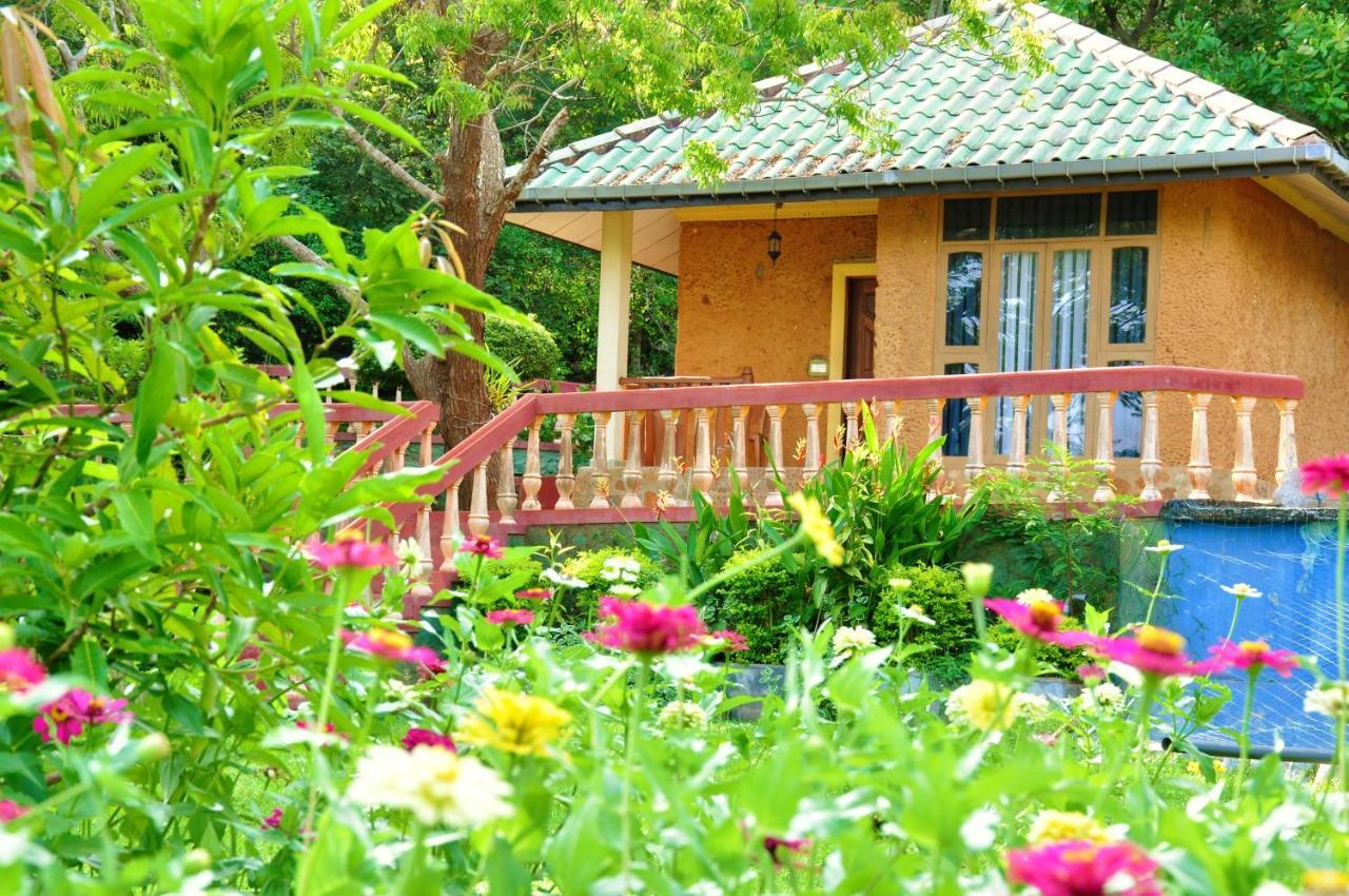 Kodigahawewa Forest Resort Tissamaharama Bagian luar foto